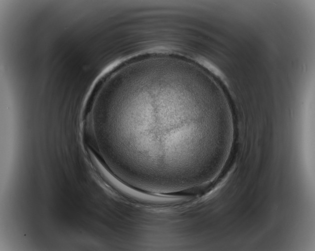 X0000086731029200704201642