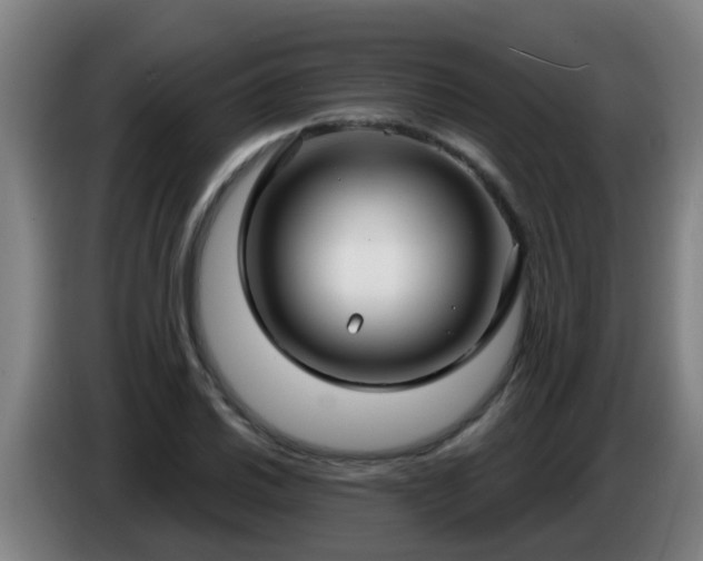 X0000086731030200704201642