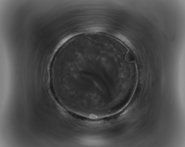 X0000086731031200704201642