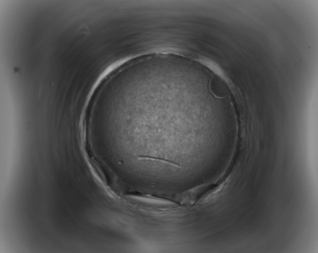 X0000086731032200704201642