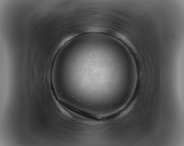 X0000086731033200704201642