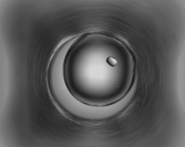 X0000086731034200704201642