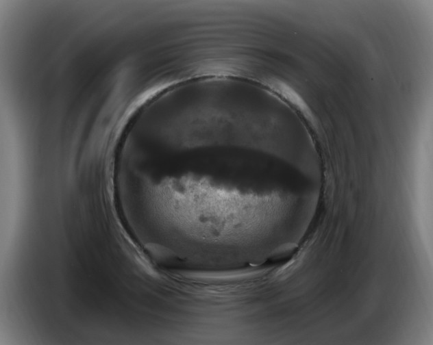 X0000086731035200704201642