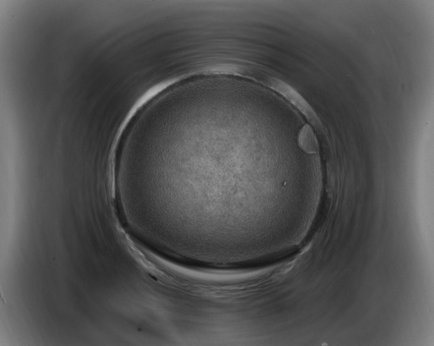 X0000086731036200704201642