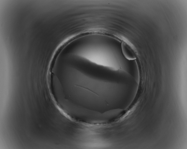 X0000086731037200704201642