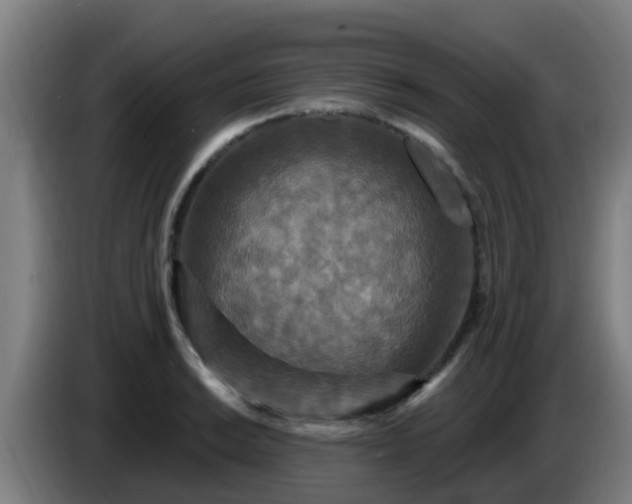 X0000086731038200704201642