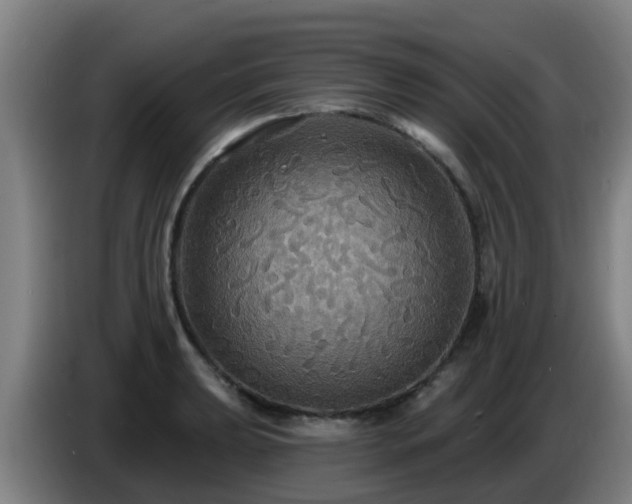 X0000086731039200704201642