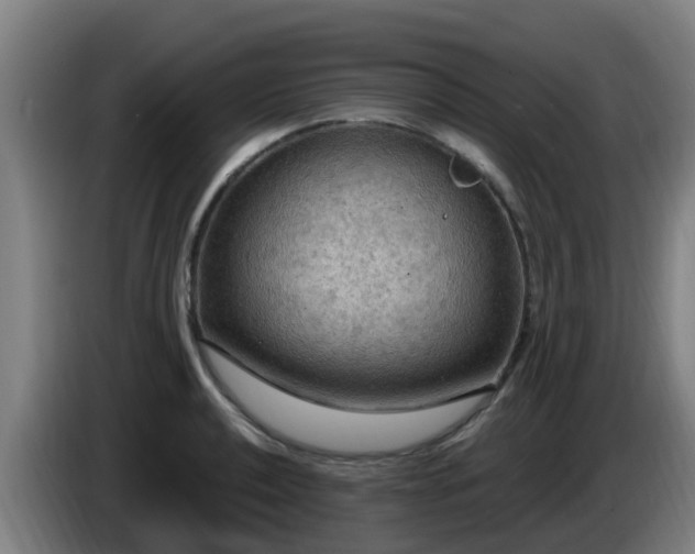 X0000086731040200704201642