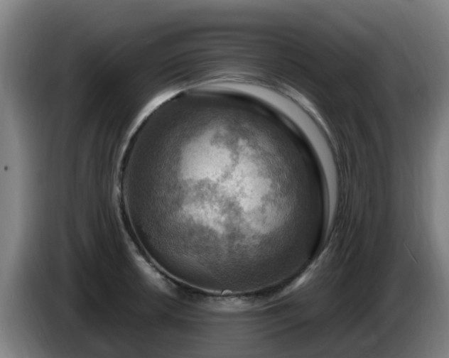 X0000086731042200704201642