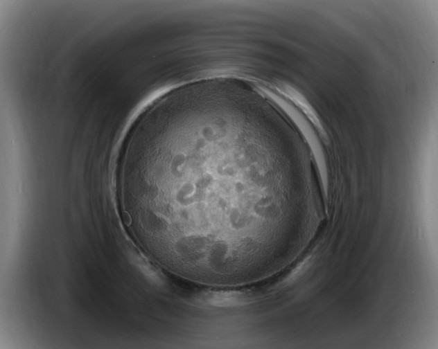 X0000086731043200704201642