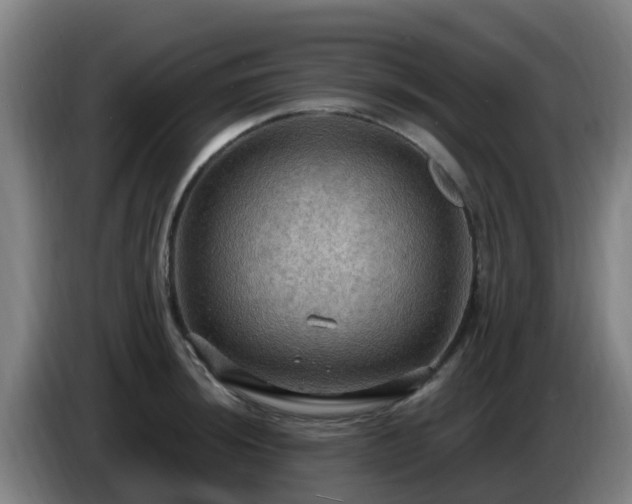 X0000086731044200704201642