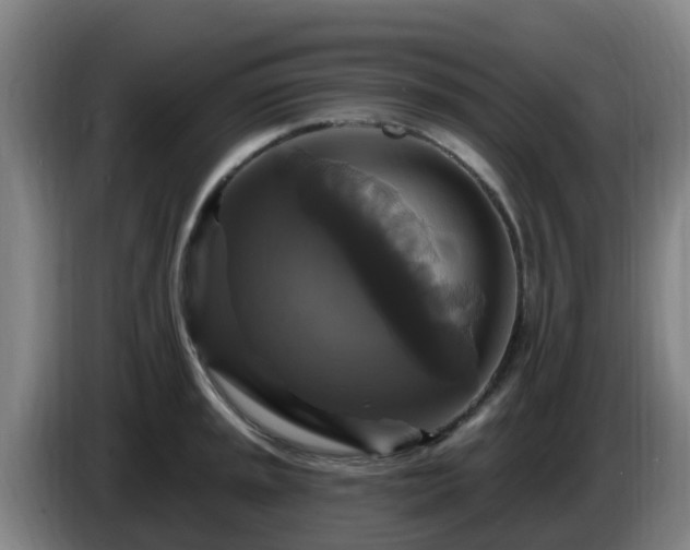 X0000086731045200704201642