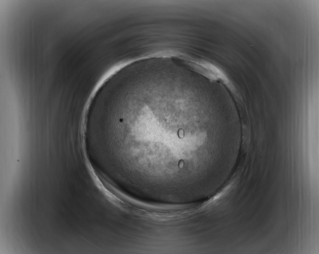 X0000086731046200704201642