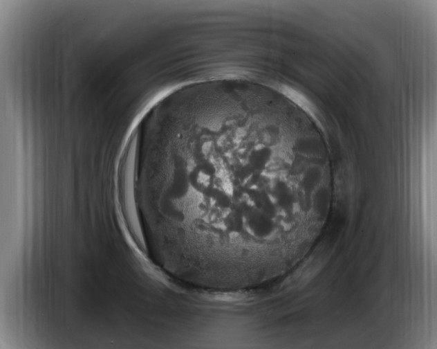 X0000086731047200704201642