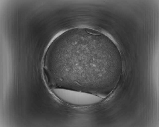 X0000086731048200704201642