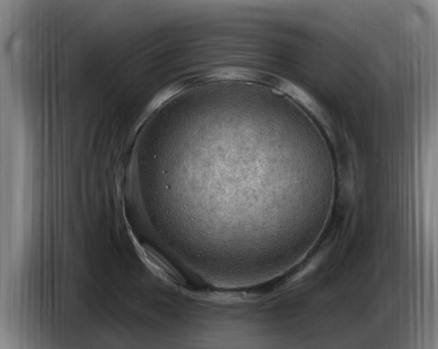 X0000086731049200704201642