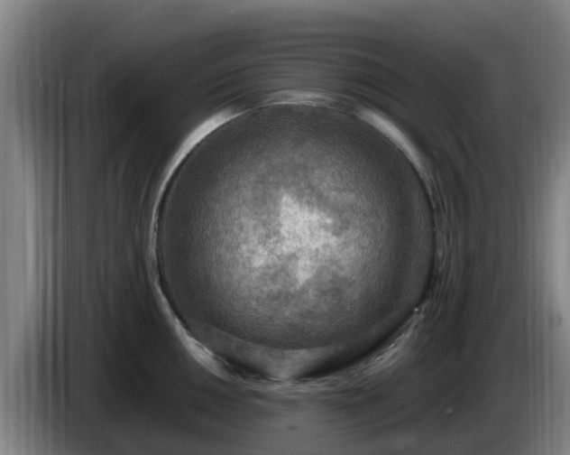 X0000086731050200704201642