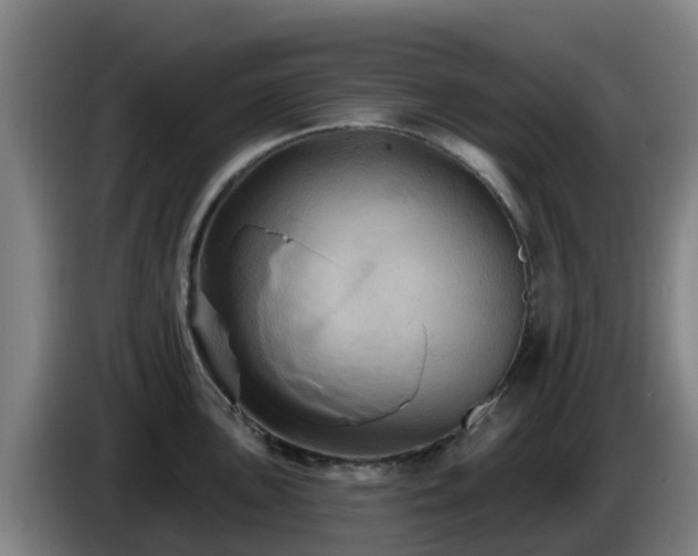 X0000086731051200704201642