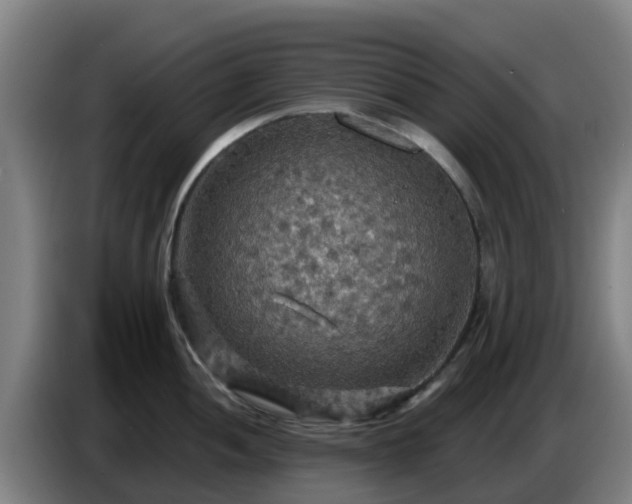 X0000086731052200704201642