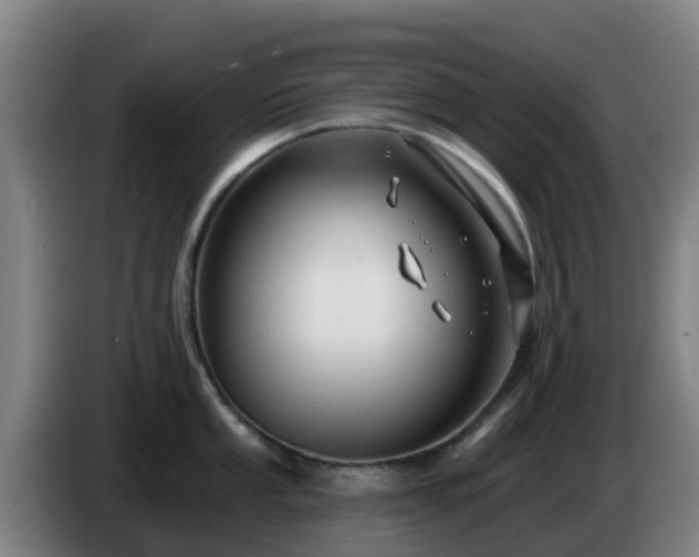 X0000086731053200704201642