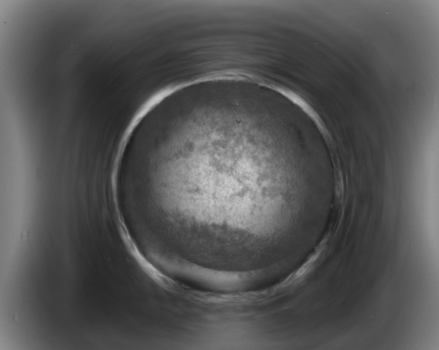 X0000086731054200704201642