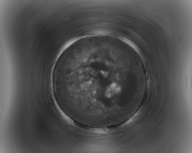 X0000086731055200704201642