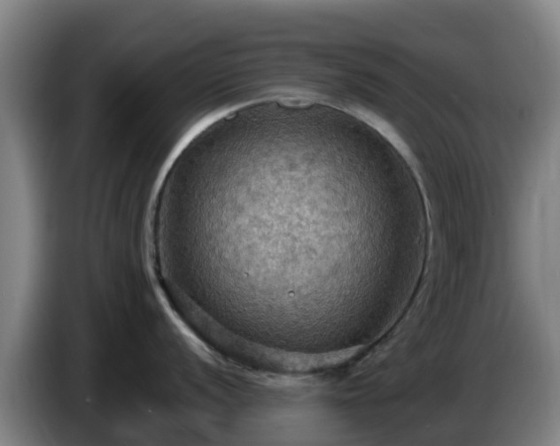 X0000086731056200704201642