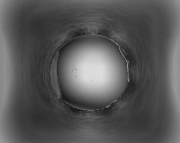 X0000086731057200704201642