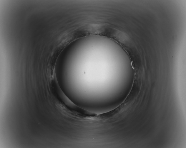 X0000086731058200704201642