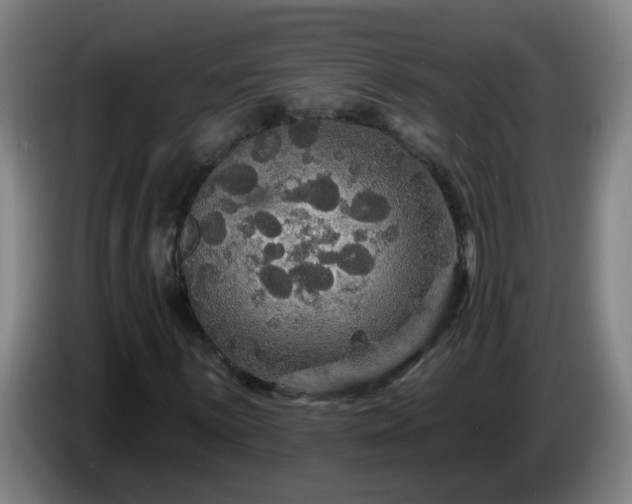 X0000086731059200704201642