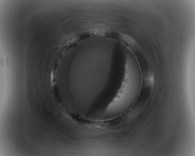 X0000086731060200704201642