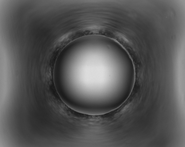 X0000086731062200704201641