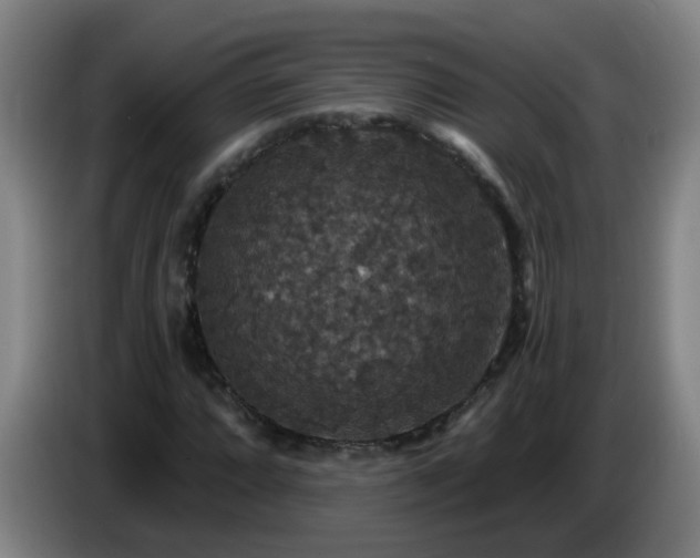 X0000086731064200704201641