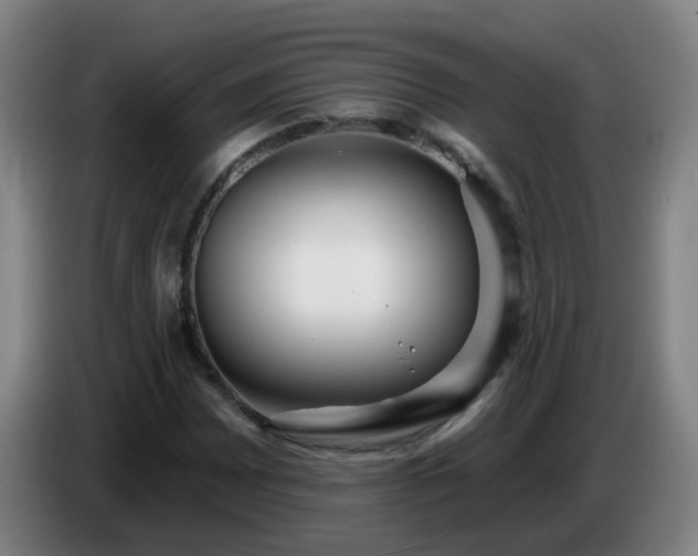 X0000086731065200704201641