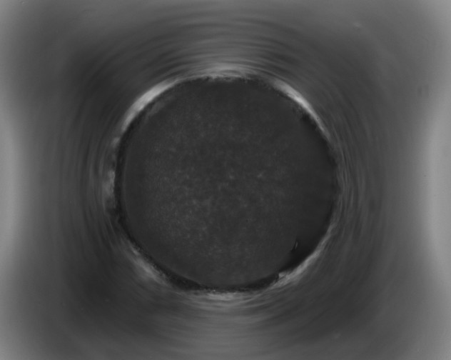 X0000086731066200704201641