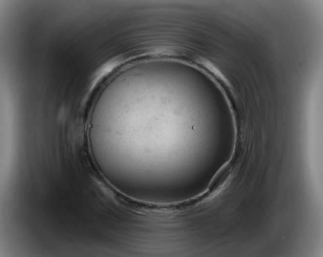 X0000086731067200704201641