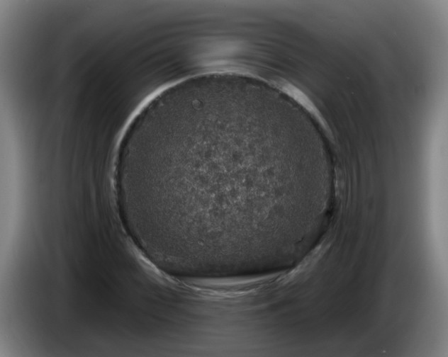 X0000086731068200704201641