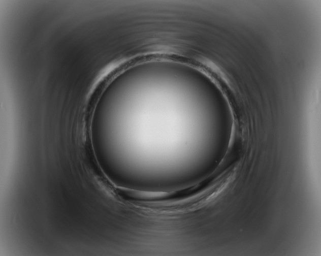 X0000086731069200704201641