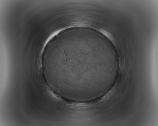 X0000086731070200704201641