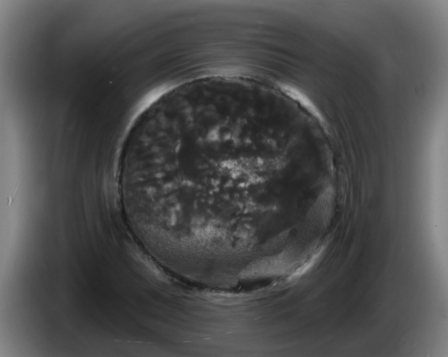 X0000086731071200704201641