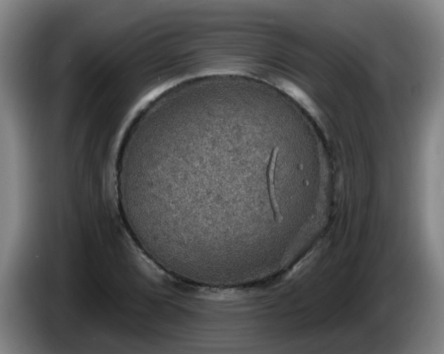 X0000086731072200704201641