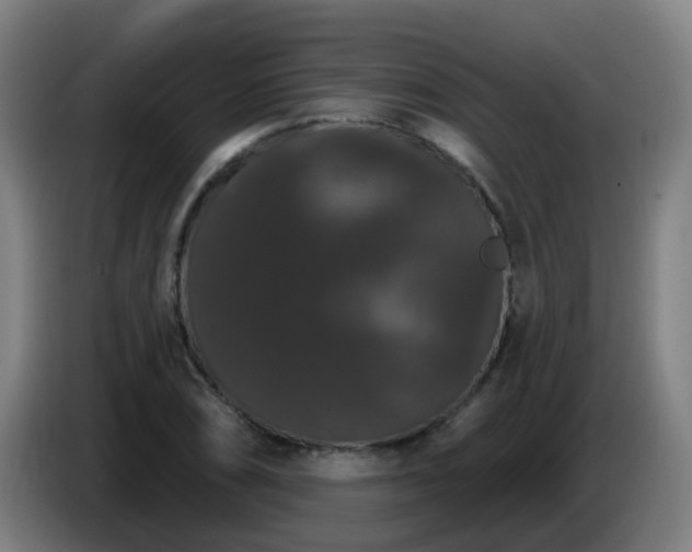 X0000086731074200704201641