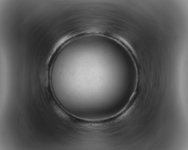 X0000086731075200704201641