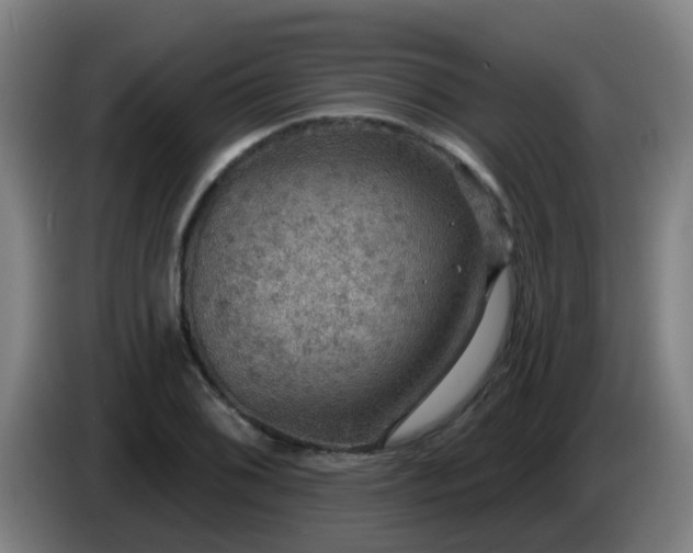 X0000086731076200704201641