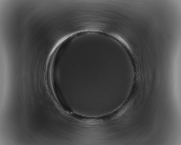 X0000086731077200704201641