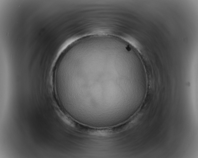 X0000086731078200704201641