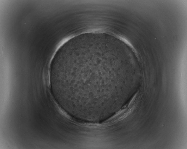 X0000086731079200704201641