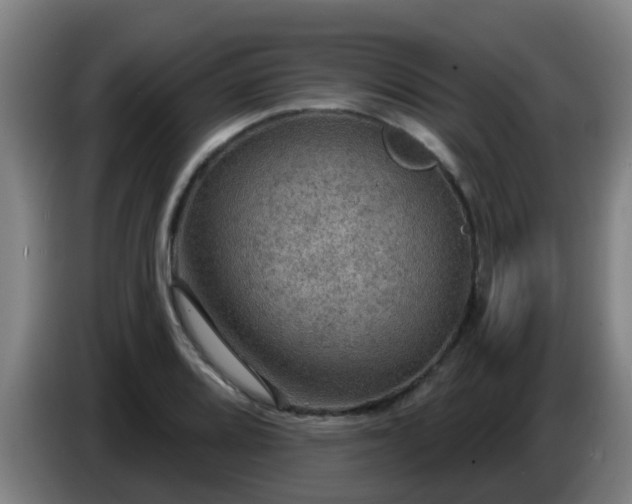 X0000086731080200704201641