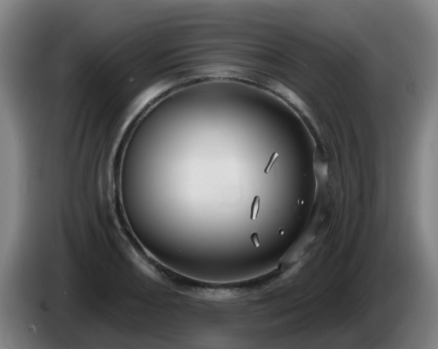 X0000086731082200704201641