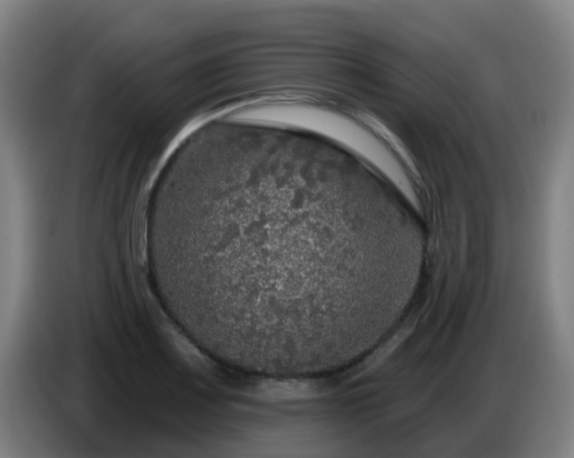 X0000086731083200704201641